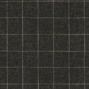 Concord Pane Sable Performance + PK Lifestyles Fabric