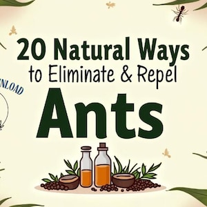 May include: An illustration of 20 natural ways to eliminate and repel ants. The image features a green leafy background with ants and bottles of essential oils. The text "20 Natural Ways to Eliminate & Repel Ants" is in bold, black font. The text "Instant Download 27 pages" is in a blue circle.