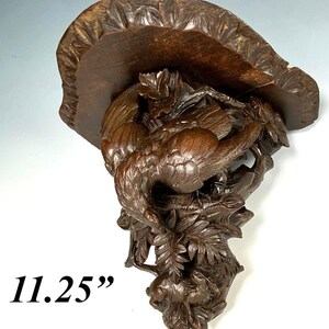 Puede incluir: Estante de pared de madera tallada de color marrón oscuro. Presenta un diseño detallado de un pájaro, follaje y un pequeño animal. El estante mide 28,5 cm de largo.