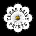 Texas Daisy Prints