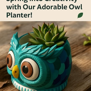 May include: A blue owl-shaped planter with white stripes around the bottom. The planter has a succulent plant inside. The planter is sitting on a wooden surface.