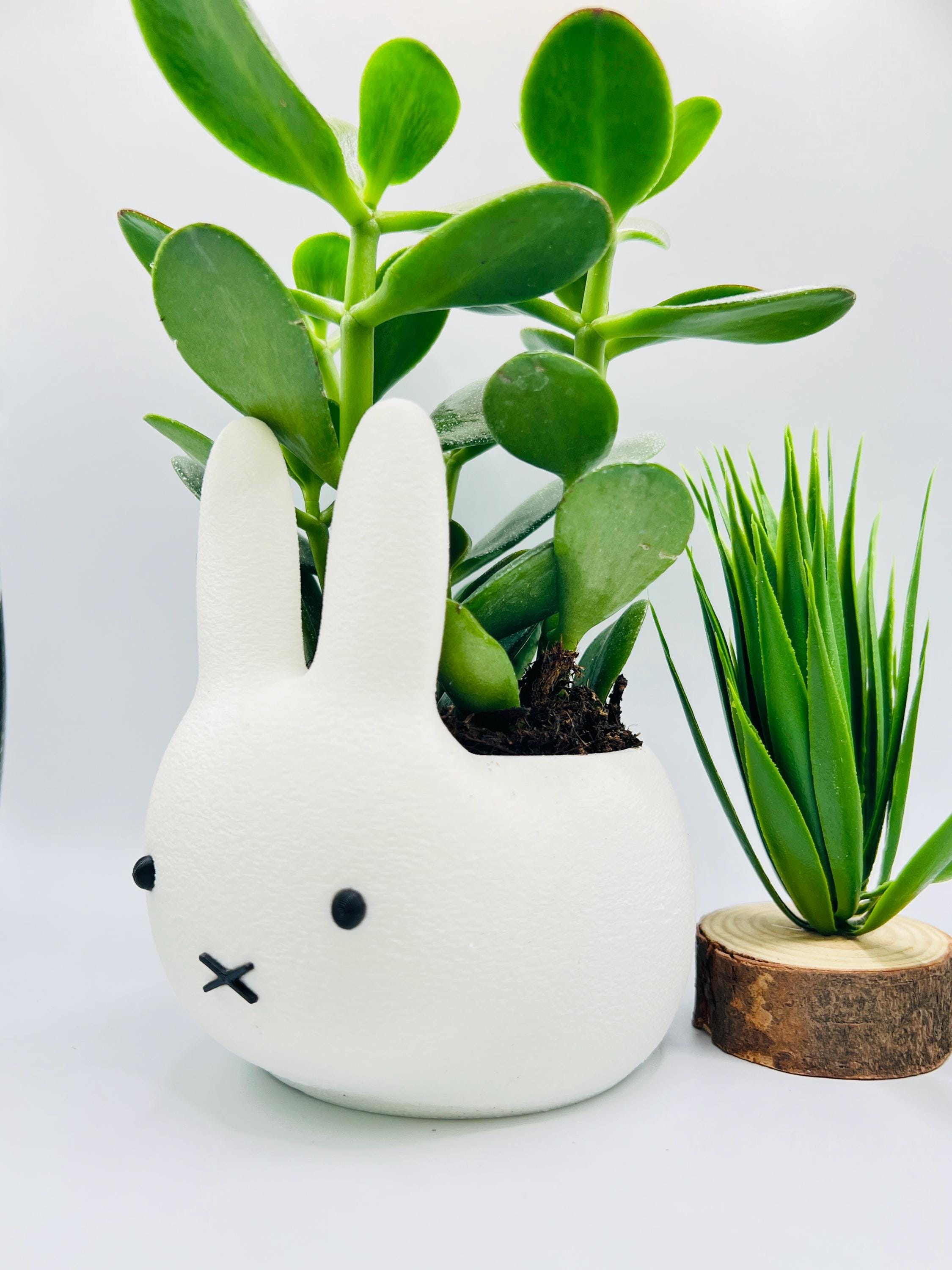 Miffy Bunny Planter: 3D Printed Bunny Desk Decor - Etsy