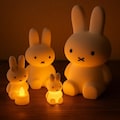 Miffy Bunny Night Light: 3D Printed Nursery Decor, Christmas Version Available product logo