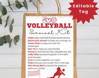 Volleyball-Geschenktüten | Volleyball-Überlebensset-Etikett | Bearbeitbares Volleyball-Etikett | Volleyball-Druckvorlagen | Süßigkeiten-Überlebensset | Volleyball-Party
