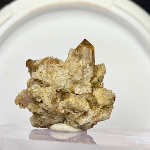 May include: A cluster of natural crystals, featuring a prominent, well-formed, brown crystal point. The surrounding matrix is a mix of beige and tan, with a rough, textured appearance. The crystals are set against a white background.
