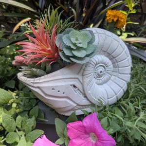 Puede incluir: Una maceta blanca con forma de fósil de ammonite que contiene varias plantas suculentas artificiales. La maceta presenta un diseño de concha texturizado y detallado con una espiral central y marcas geométricas, conteniendo una mezcla de plantas verdes y de color rojo anaranjado.