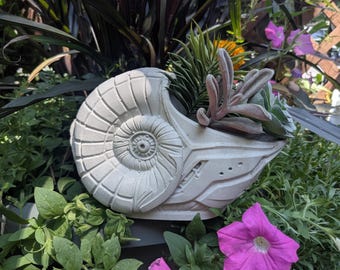 May include: A light gray concrete planter shaped like a coiled ammonite fossil. The shell features detailed ridges and a central spiral pattern. The open top section contains a variety of small green and purple succulents with textured leaves.