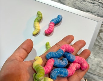 Handmade Sour Gummy Worm Polymer Clay Magnet(s).