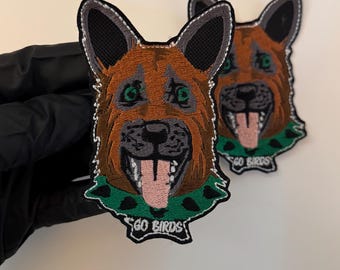 Philadelphia Eagles Underdogs Custom Patch, Iron on, Sew On patch Super Bowl Champions (1PC) for shirts,sweatshirts hats and gifts