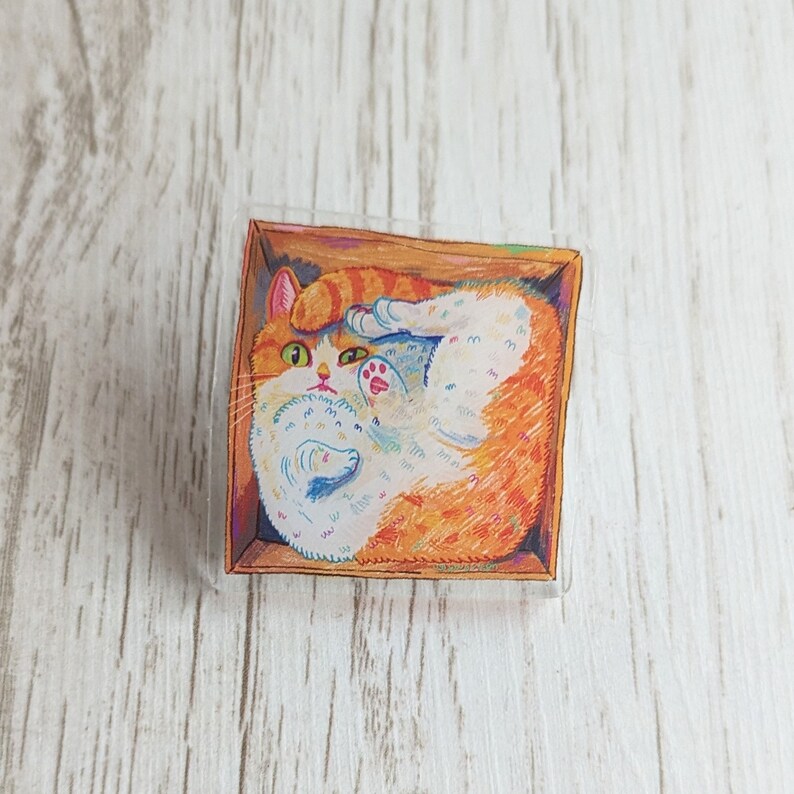 Cat in a Box square Pin image 1