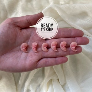 Ready To Ship - 7 Week Gestation Embryo, Memorial/Honor Sculpture - Baby Loss, Miscarriage, Keepsake