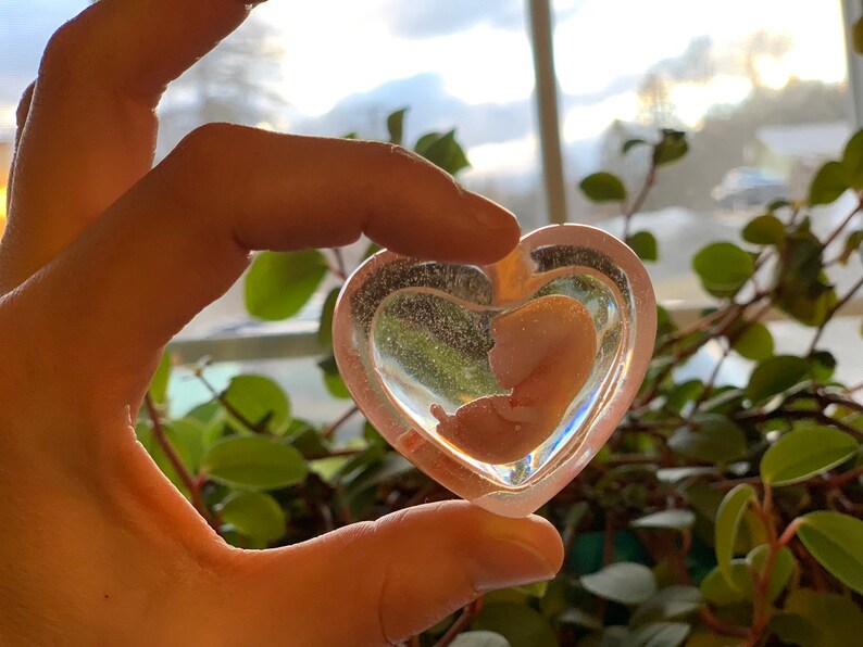 ¥·¥ê¥³¥ó¥Ù¥Ó¡¼¡¢¥ê¥Ü¡¼¥ó¥É¡¼¥ë¡¢¥ª¡¼¥À¡¼¥á¥¤¥É¡¢ÀÖ¤Á¤ã¤ó¿Í·ÁÈÎÇä¡¢T