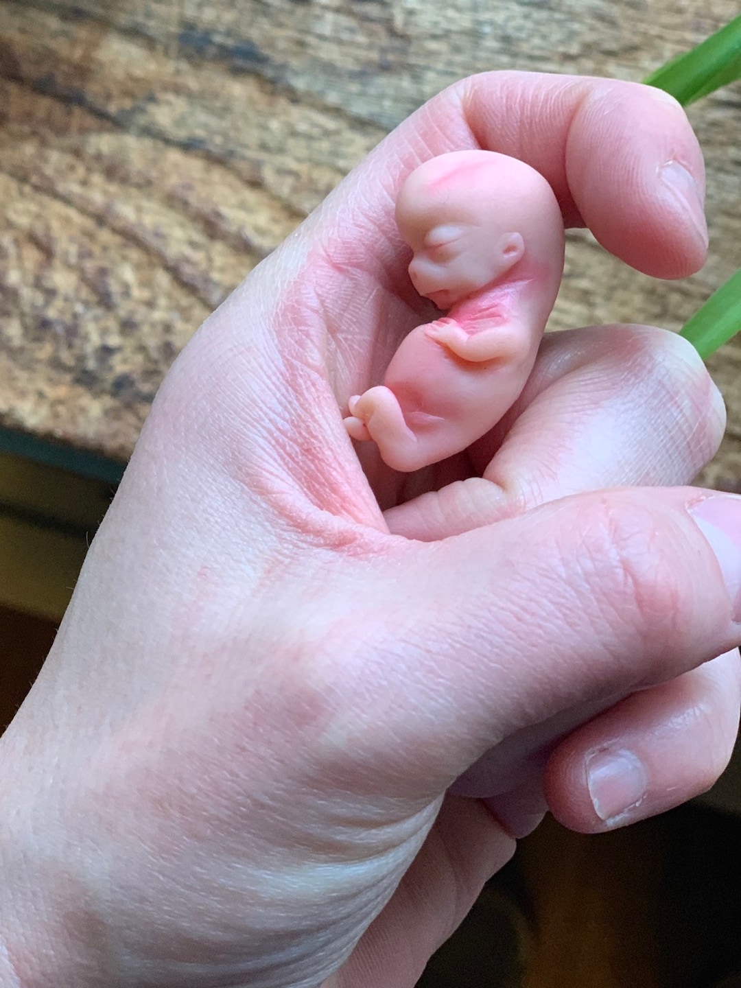 オーダーメイド - 妊娠 9 週目の胎児、記念名誉彫刻 - 赤ちゃんの喪失、流産、記念品 - Etsy 日本