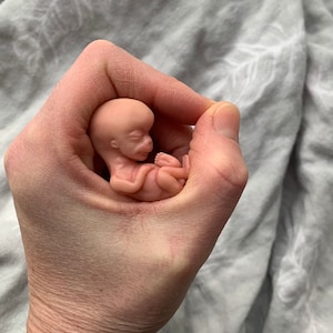 Made to Order, 10 Week Gestation Fetus, Memorial/honor Sculpture