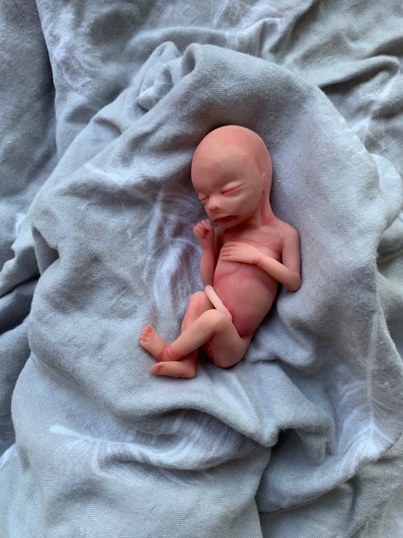MADE to ORDER 20 Woche Schwangerschaft Fötus Baby | Etsy