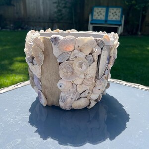 Seashell and  Driftwood coastal flower pot, beach planter