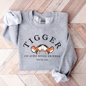 Tigger Sweatshirt, Winnie The Pooh Sweatshirt, Tigger Sweater, Winnie the Pooh Theme Disneyland Sweatshirt, Cute Disney Trip Shirt and Hoody