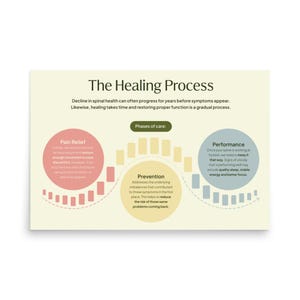 Op de afbeelding: Een diagram dat het genezingsproces voor de gezondheid van de wervelkolom illustreert. Het diagram toont drie fasen: pijnverlichting, preventie en prestatie. De fasen worden weergegeven door overlappende cirkels met verschillende kleuren.