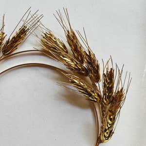 Demeter Crown - Etsy