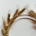 Demeter Crown - Etsy
