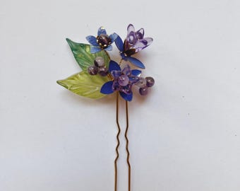 Violettes de Toulouse