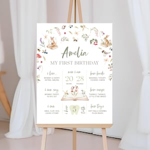 Storybook 1st Birthday Milestone Sign | Chapter One Book Birthday Milestone Poster | First Chapter Birthday Decor | Editable Template | BD35