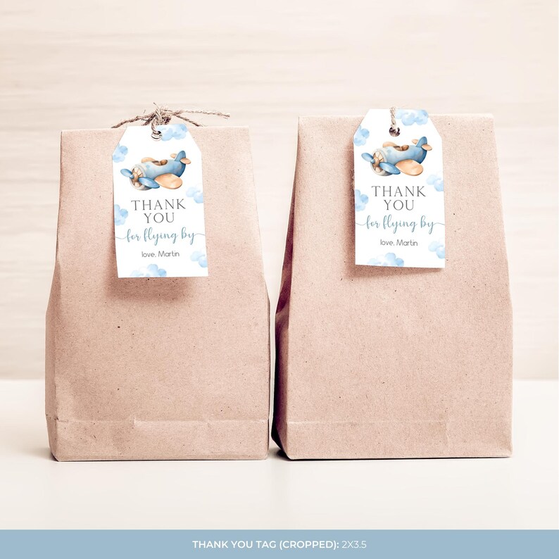 Airplane Birthday Thank You Tag | Time Flies 1st Birthday Favor Tag | Boy First Flight Birthday Gift Tag | Plane Birthday Party Decor | BD4 image 3