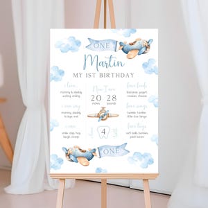 Póster de cumpleaños de avión / Letrero de cumpleaños de Time Flies / Tablero de fiesta de cumpleaños de avión / Decoración para fiesta de primer cumpleaños de niño / BD4