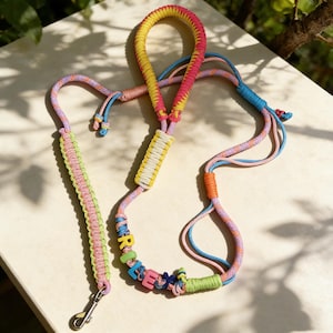 Handmade Braided Paracord Dog Leash with Poop Bag Holder Loop