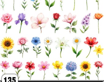 Lush Wildflower Clipart Bundle, Boho Watercolor Wildflowers Png, Colorful Flowers Clipart, Wildflower Bouquets Png, Wedding Decors