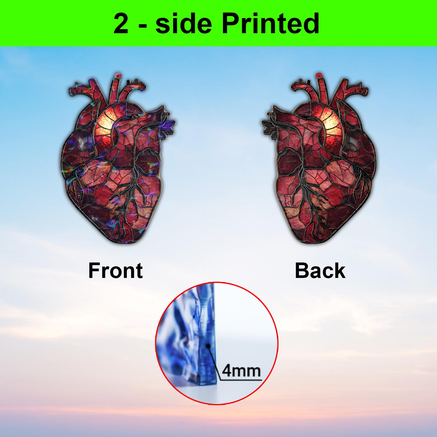 Anatomical Heart Acrylic Suncatcher, Red Stained Glass Style Organ