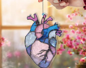 Anatomical Heart Acrylic Suncatcher, Pink Blue Human Heart Window Hanging, Medical Art Gift, Unique Science Acrylic Home Decor