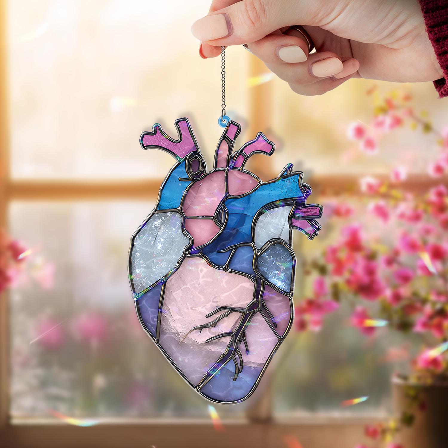 Anatomical Heart Acrylic Suncatcher, Pink Blue Human Heart Window