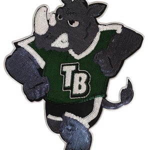 Tampa Bay Bulls Sequin Iron On Patch - Embroidered Applique