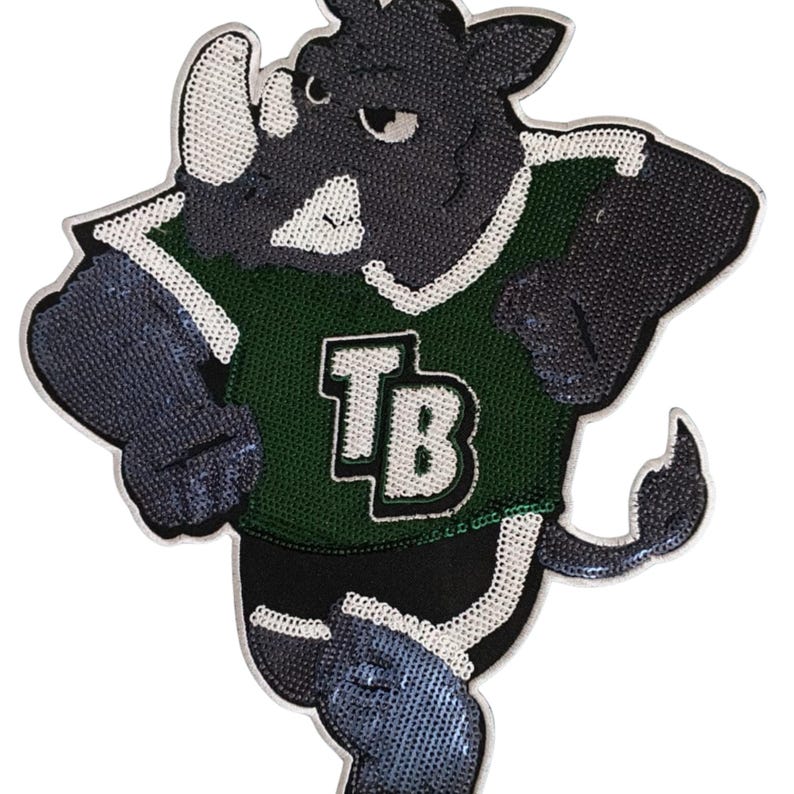 Tampa Bay Bulls Sequin Iron On Patch - Embroidered Applique image 1