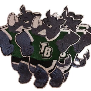 Tampa Bay Bulls Sequin Iron On Patch - Embroidered Applique image 3