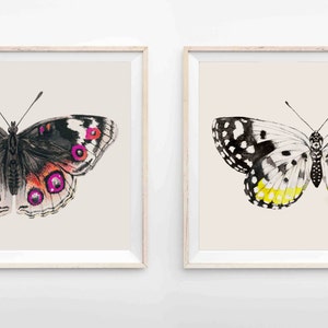 Pink Butterfly Art Print Butterfly Wall Art Pink & Orange Butterfly Large Wall Art image 4