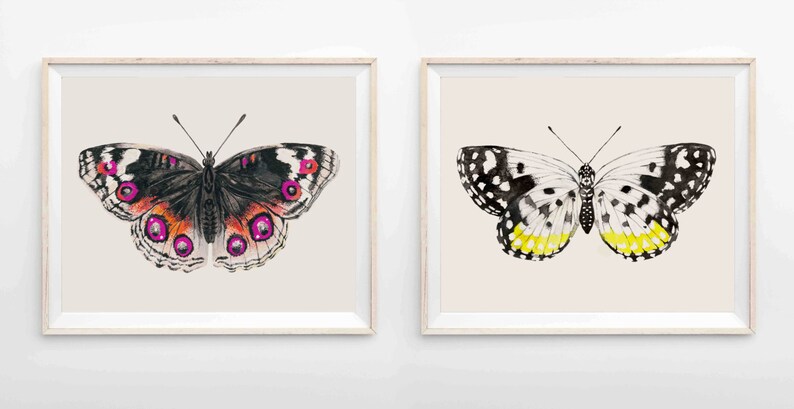 Pink Butterfly Art Print Butterfly Wall Art Pink & Orange Butterfly Large Wall Art image 4