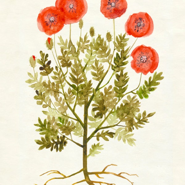 Red Poppies Print - Autumn Flower Wall Art, Botanical Fall Artwork, Poppy Art 8"x10", 5"x7", 9"x12" or 11"x14"