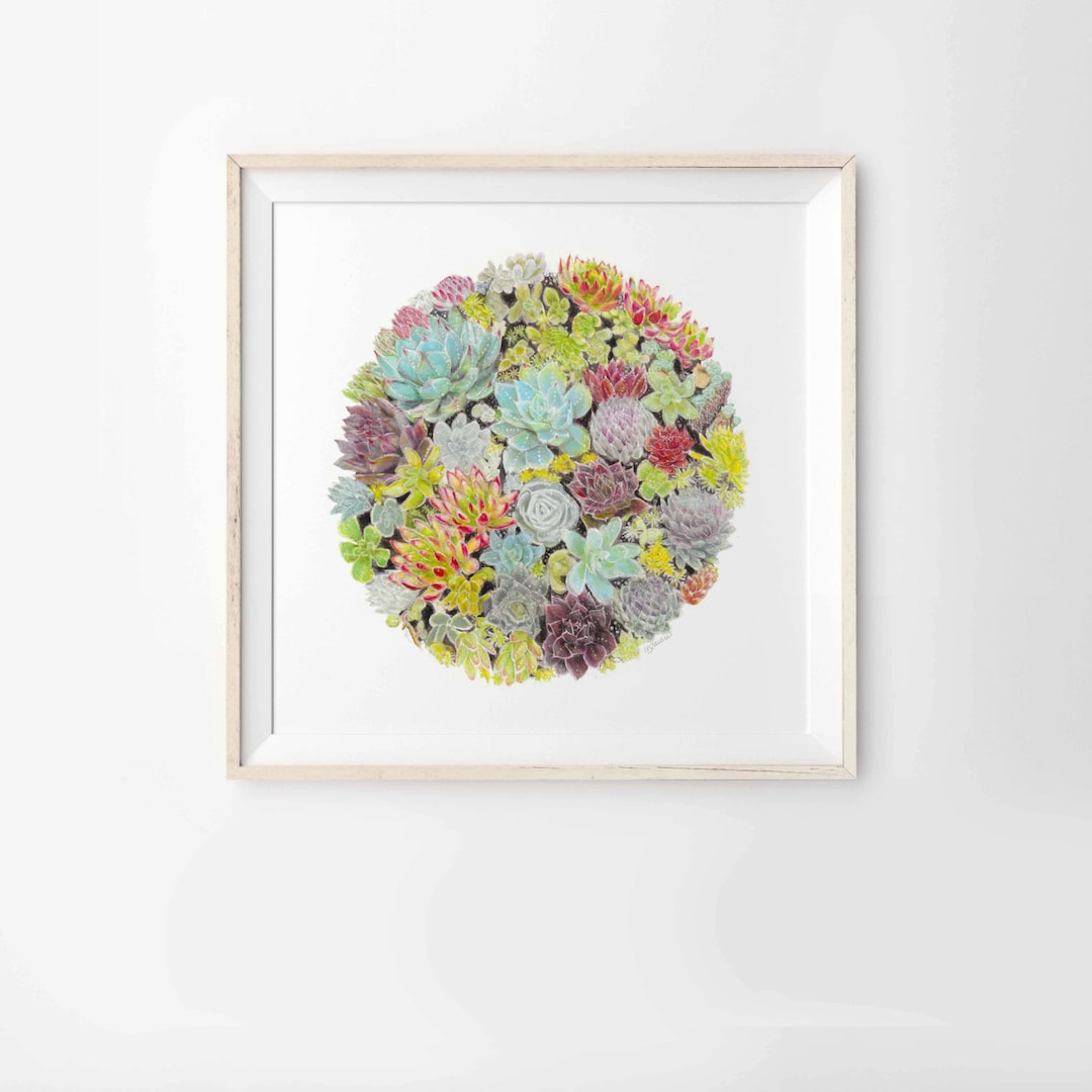 Succulent Garden Archival Art Print Wall Decor Kids Wall - Etsy