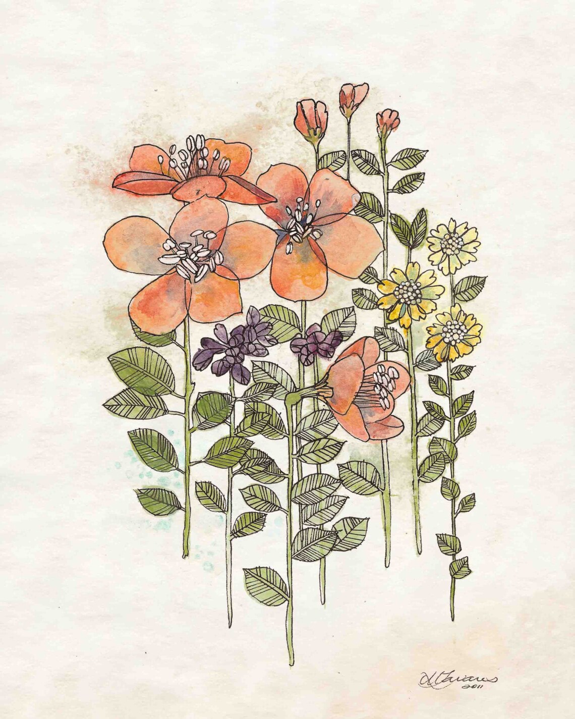 Coral Flowers Print Rustic Flower Wall Art Botanical - Etsy