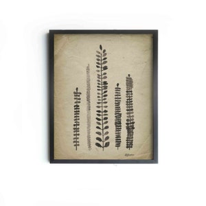 Rustic Ferns Archival Art Print - Ferns 8"x10", 5"x7", 9"x12" or 11"x14" - Modern Wall Decor - Vintage Inspired Art