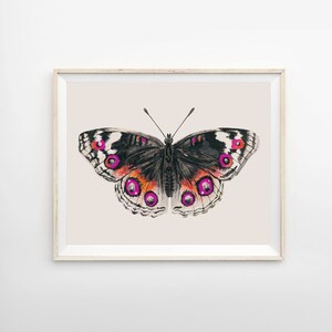 Pink Butterfly Art Print Butterfly Wall Art Pink & Orange Butterfly Large Wall Art image 3