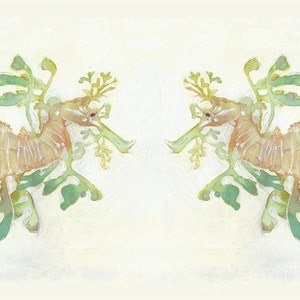 Leafy Sea Dragons - Print from my Original Painting - 8"x10" 5"x7", 9"x12" or 11"x14"- Archival Print