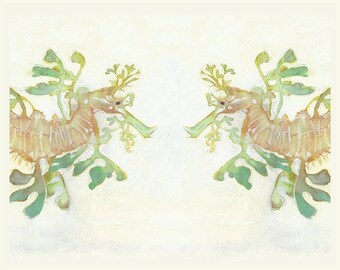 Leafy Sea Dragons - Print from my Original Painting - 8"x10" 5"x7", 9"x12" or 11"x14"- Archival Print