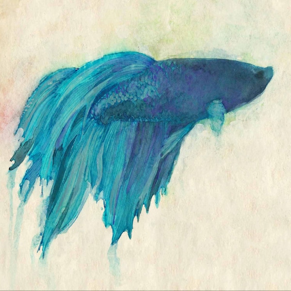 Betta Fish Art Print - Siamese Fighting Fish Print  - Paper print OR Canvas