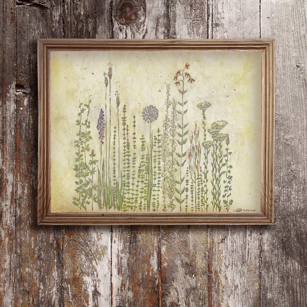 Prairie Wildflowers - Spring Wild Flowers Print - Archival 8"x10", 5"x7", 9"x12" or 11"x14"