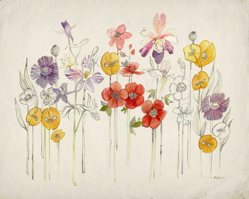 Summer Flowers Print Botanical Archival Print | Etsy