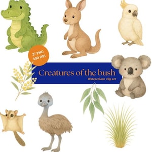 Watercolor Australian Animals Clipart Bundle: Koala, Kangaroo, Gum Leaves (300 DPI PNG Images)