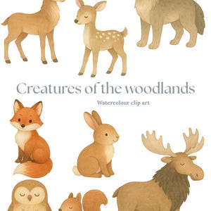 Criaturas del bosque / Acuarela caprichosa / Animales mágicos PNG